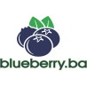 BLUEBERRY.BA